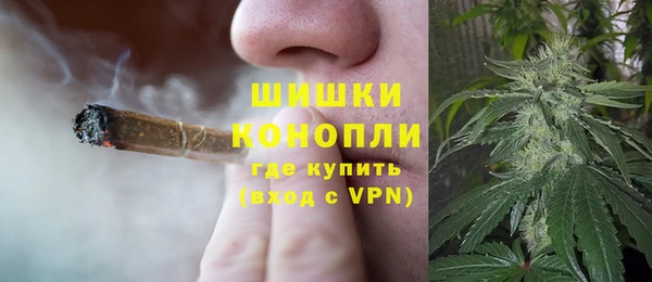 крисы Богородск