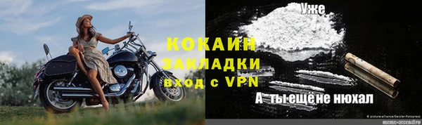 метадон Богданович