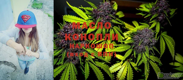 крисы Богородск