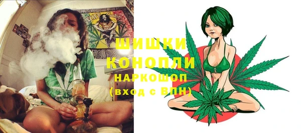 метадон Богданович